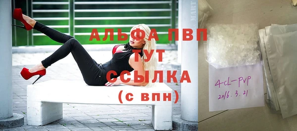 ПСИЛОЦИБИНОВЫЕ ГРИБЫ Нея