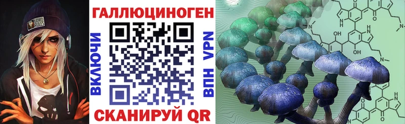 купить   МЕГА ССЫЛКА  Галлюциногенные грибы Cubensis  Полевской 