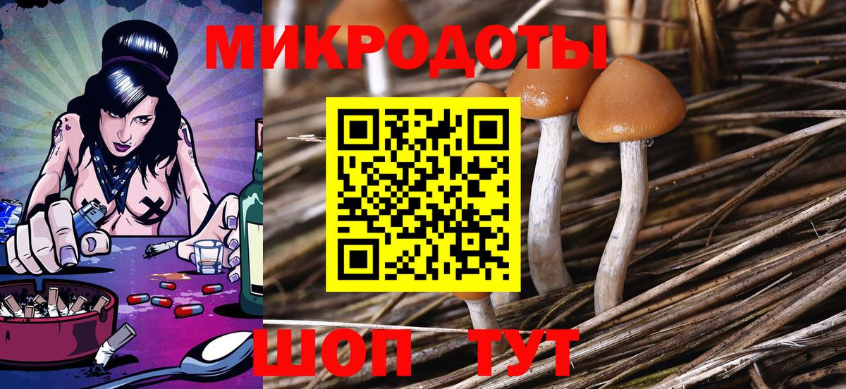 Галлюциногенные грибы Psilocybe  Вход с VPN  Полевской 